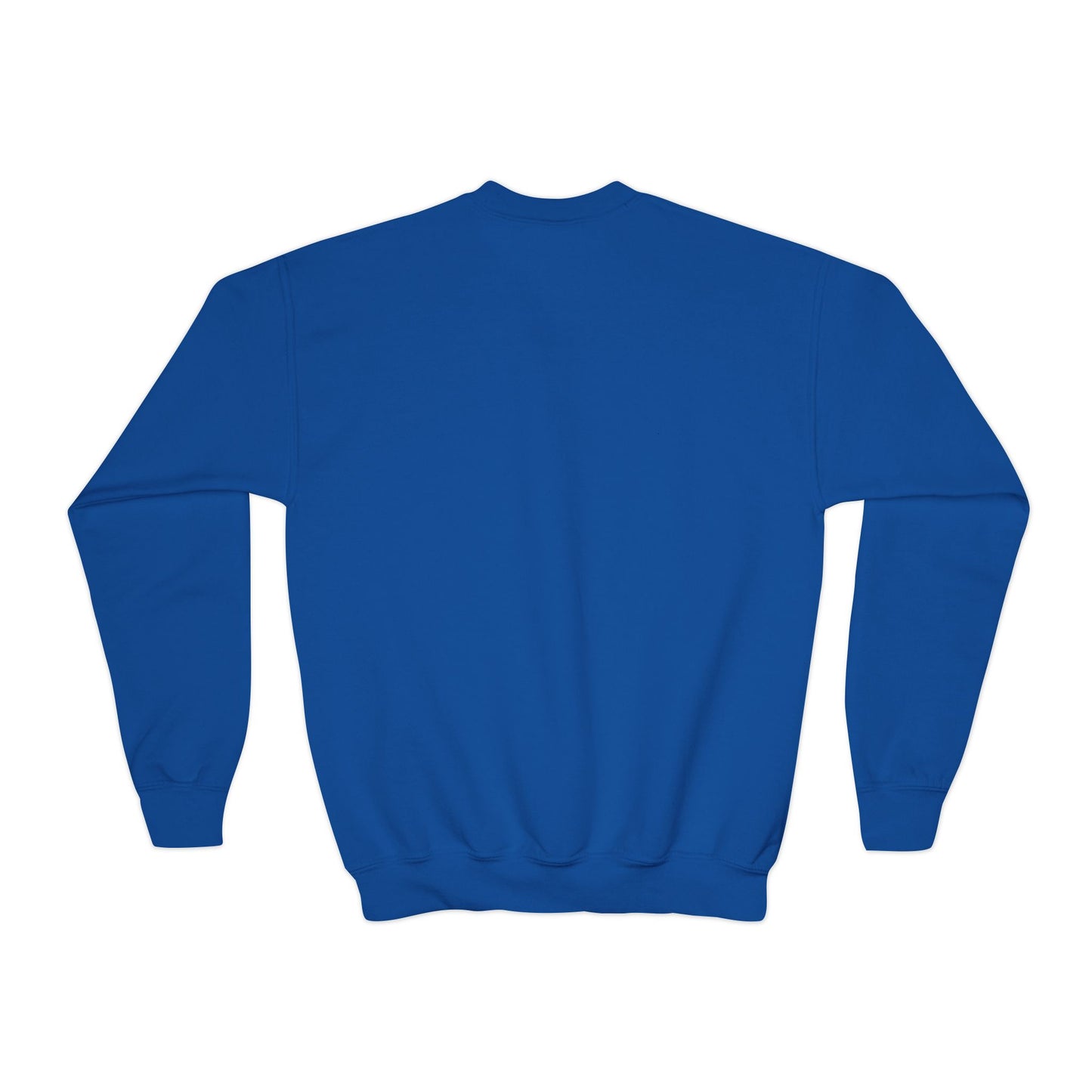 YOUTH Jumping Horse Unisex Sweatshirt - Simple and Quiet Bond Design