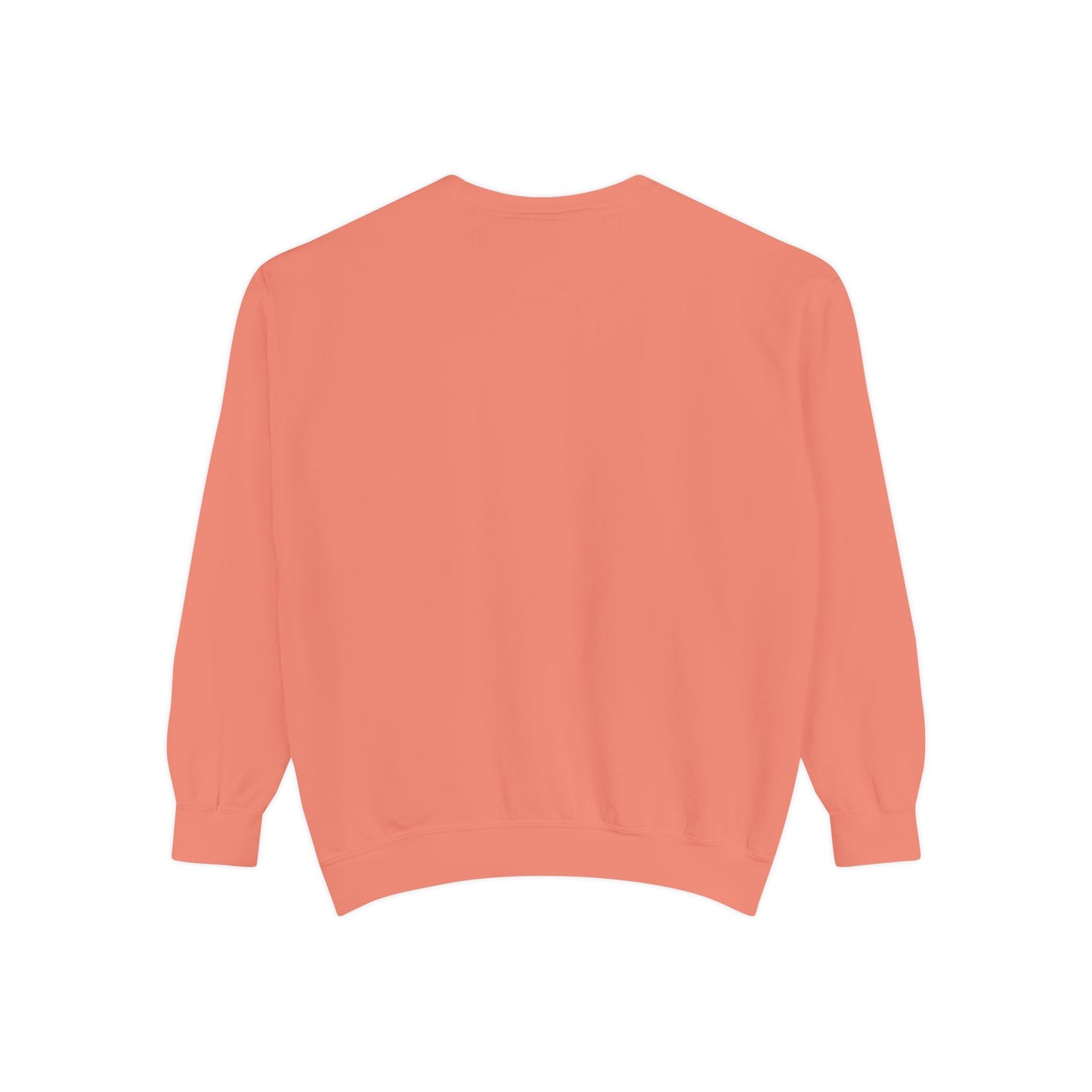 Jumping Horse Unisex Sweatshirt - Simple and Quiet Bond Design