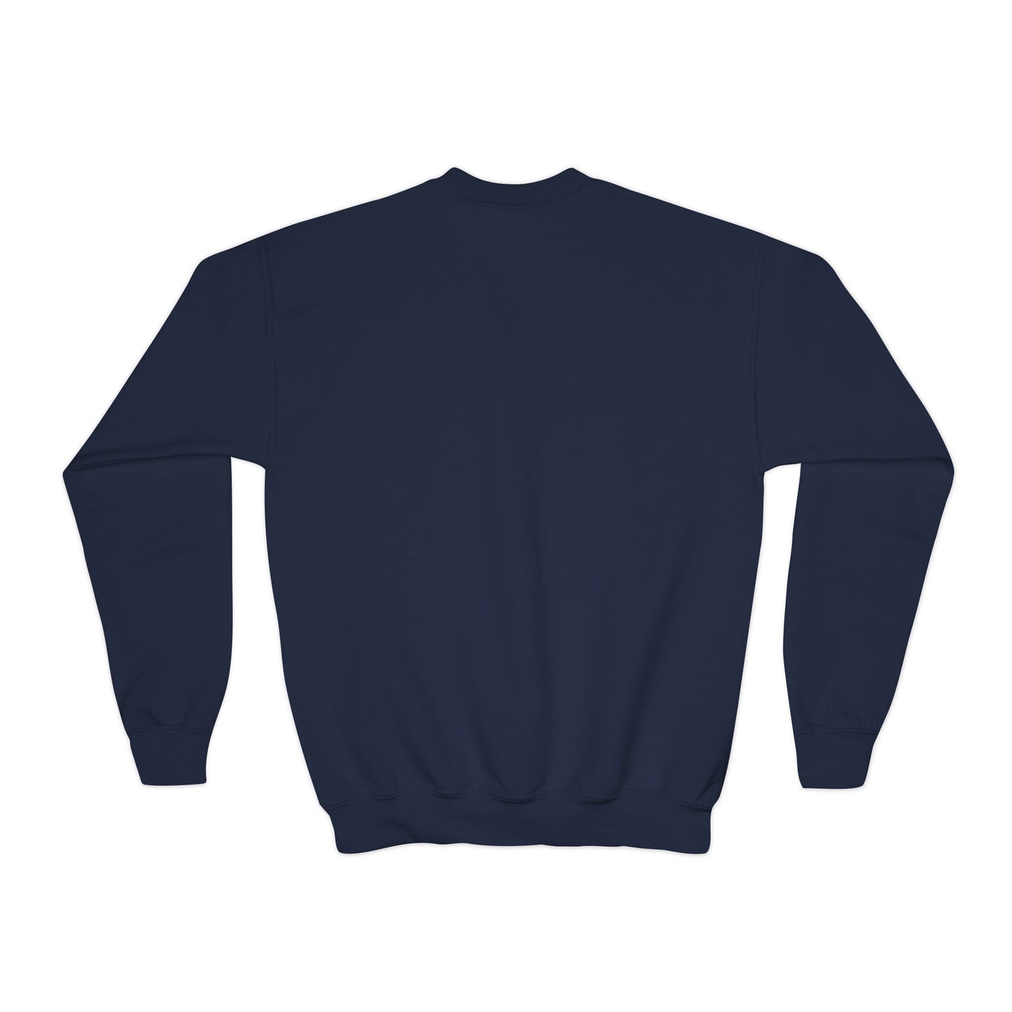 YOUTH Jumping Horse Unisex Sweatshirt - Simple and Quiet Bond Design