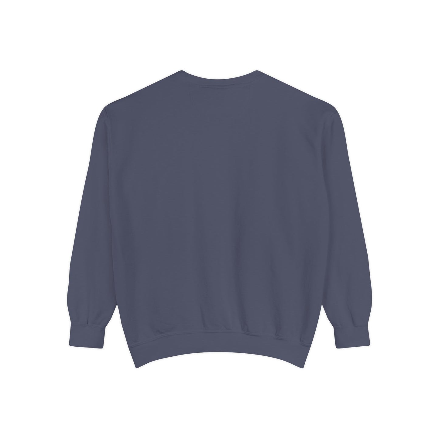 Jumping Horse Unisex Sweatshirt - Simple and Quiet Bond Design