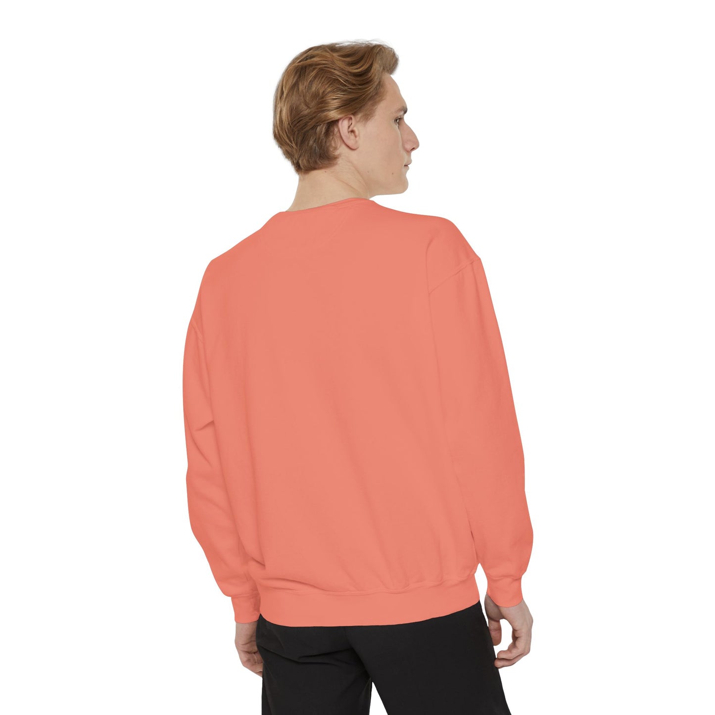 Jumping Horse Unisex Sweatshirt - Simple and Quiet Bond Design