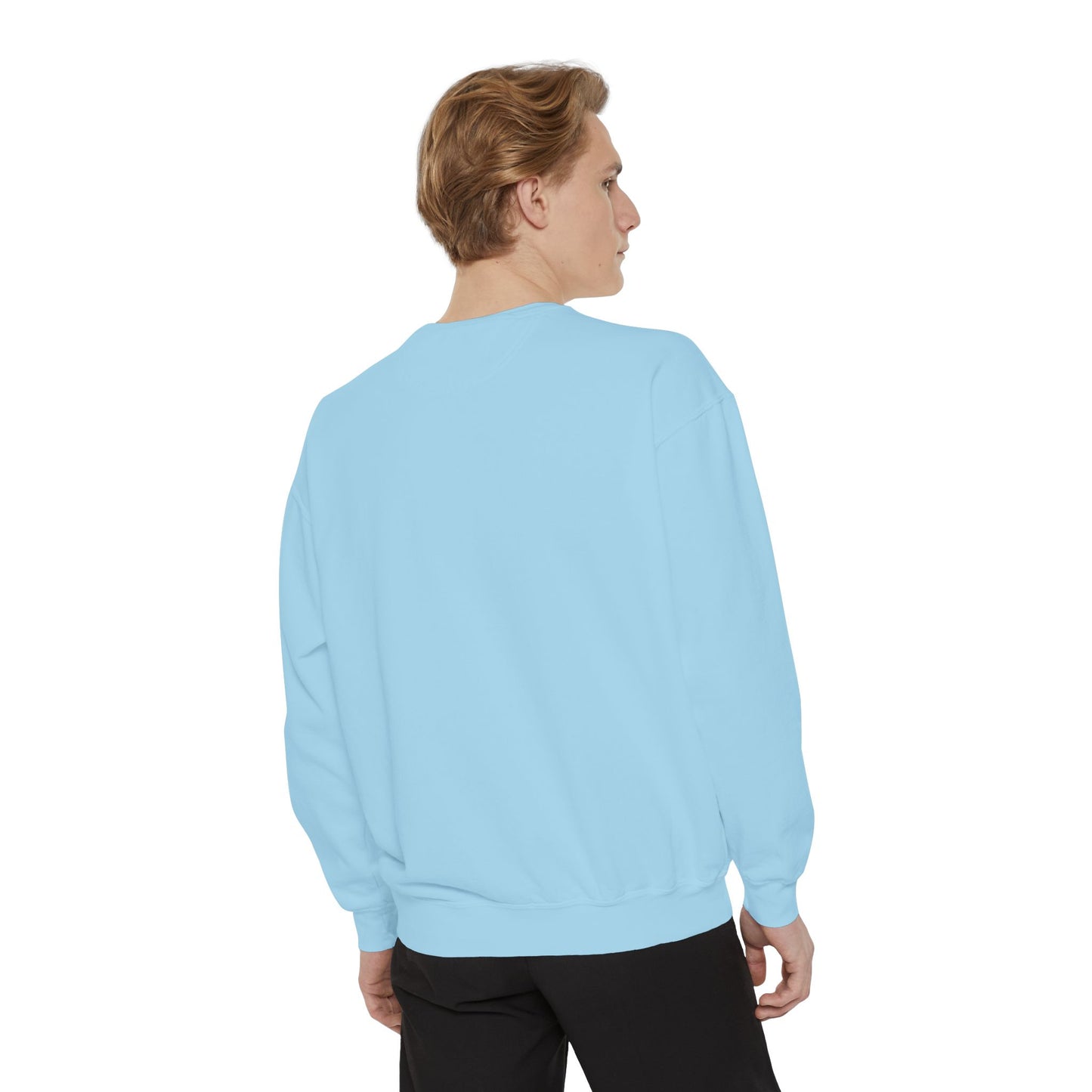 Jumping Horse Unisex Sweatshirt - Simple and Quiet Bond Design